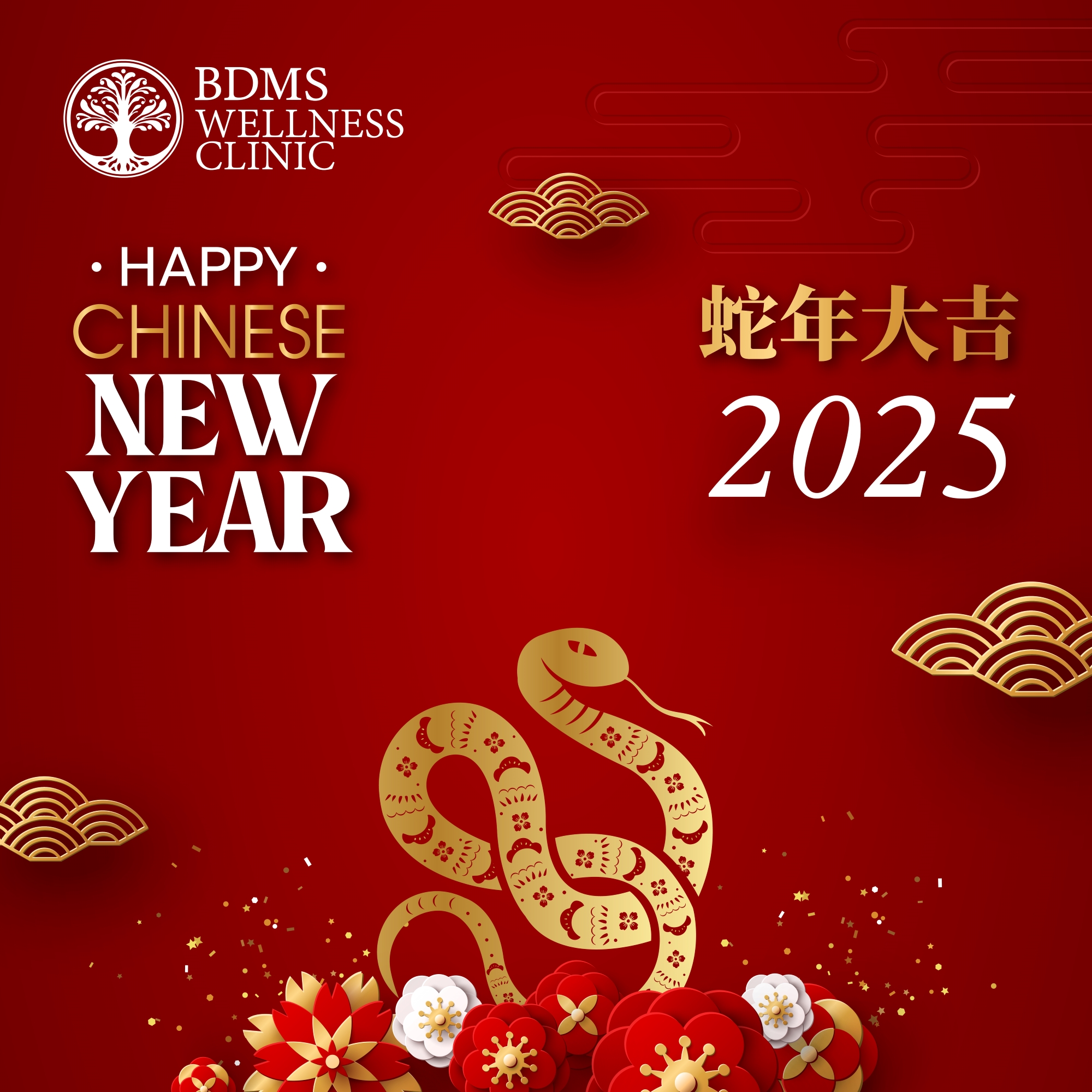 Chinese New Year 2025